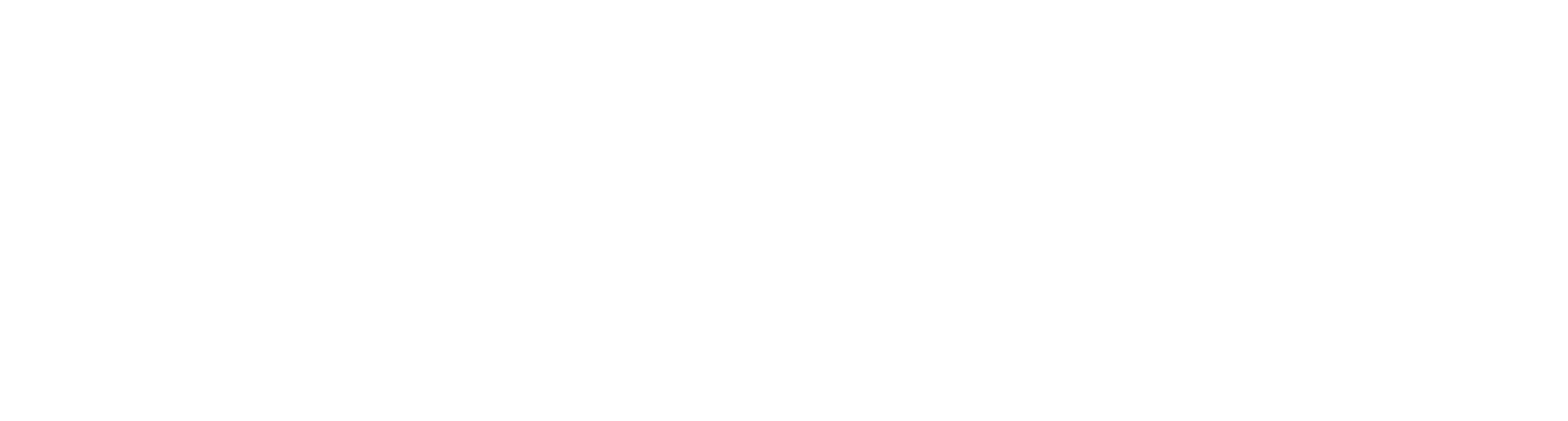 PROFORE Foresight Akademie